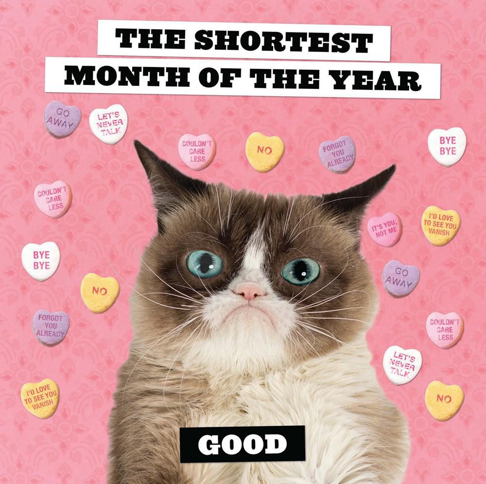 Grumpy Cat Wall Calendar 20257 Chronicle Books Science Fiction