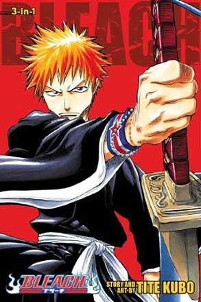 Bleach 3-in-1 Vol 1