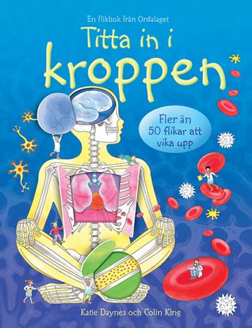 Titta in i kroppen: fler än 50 flikar att vika upp (Board Book)