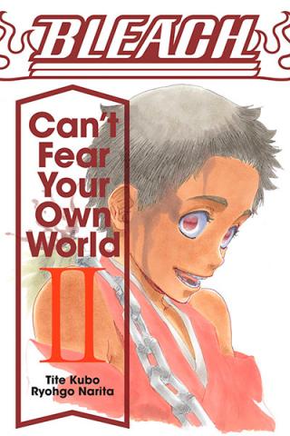 Bleach Can't Fear Your Own World Novel 2