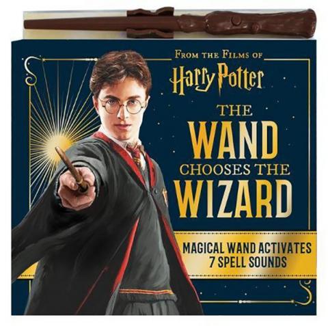 Harry Potter: The Wand Chooses the Wizard