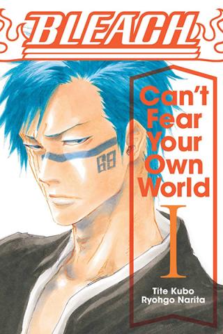 Bleach Can't Fear Your Own World Novel 1