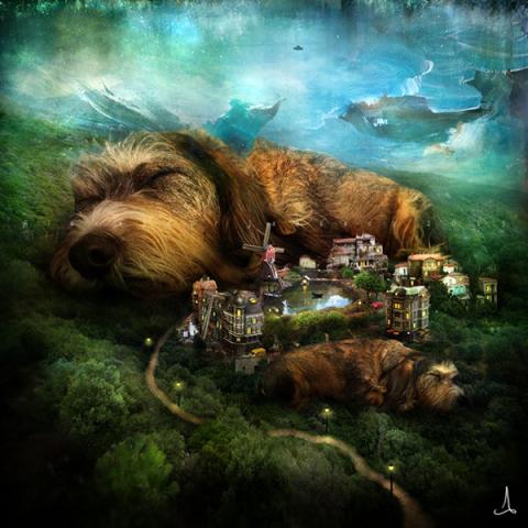 Print 30x30cm - Sleeping Dogs