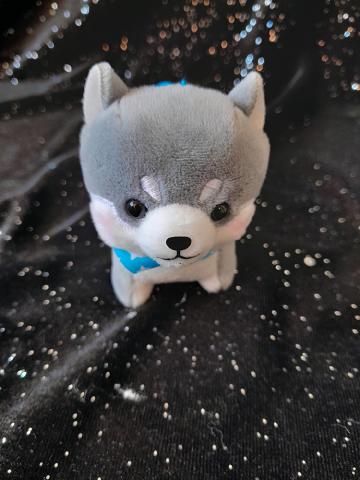 Plush Mini: Marutama 3 Taiga