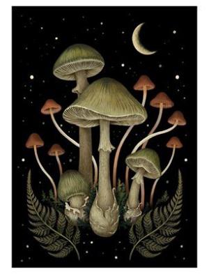 Death Cap Postcard Print A6