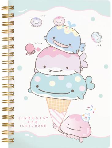 Notebook: Ice Cream Cone