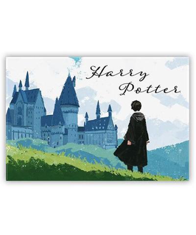 Harry & Hogwarts Standard Magnet