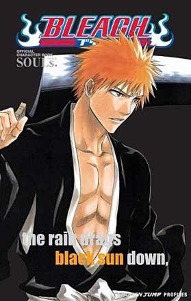 Bleach SOULs Official Character Book