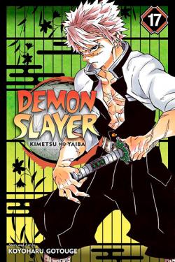 Demon Slayer Kimetsu no Yaiba Vol 17