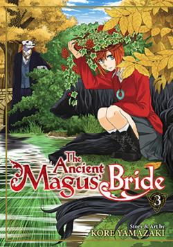 The Ancient Magus' Bride Vol 3