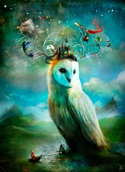 Vykort - The Astro Owl