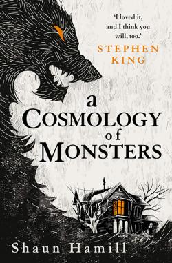 A Cosmology of Monsters