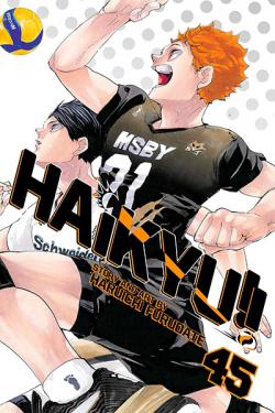 Haikyu Vol 45