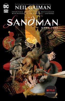 The Sandman Book 5