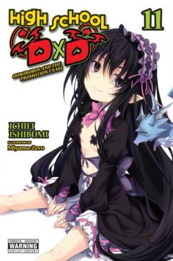 High School DXD Light Novel 11