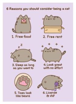 Reasons To Be A Cat Postcard Print A6