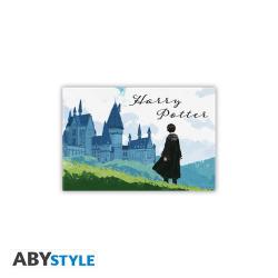 Harry & Hogwarts Standard Magnet