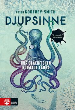 Djupsinne - hur bläckfisken började tänka