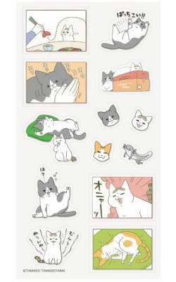 My Cat Is Doing Weird...Sticker Set Green