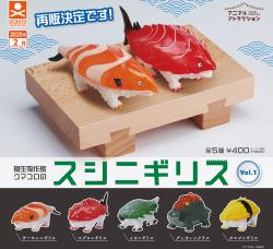 Animal Attraction Kumacoro's Sushinigiris Vol. 1 (Capsule)